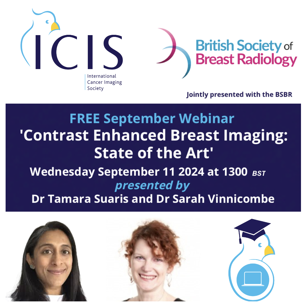 Contrast Enhanced Breast Imaging : State of the Art
