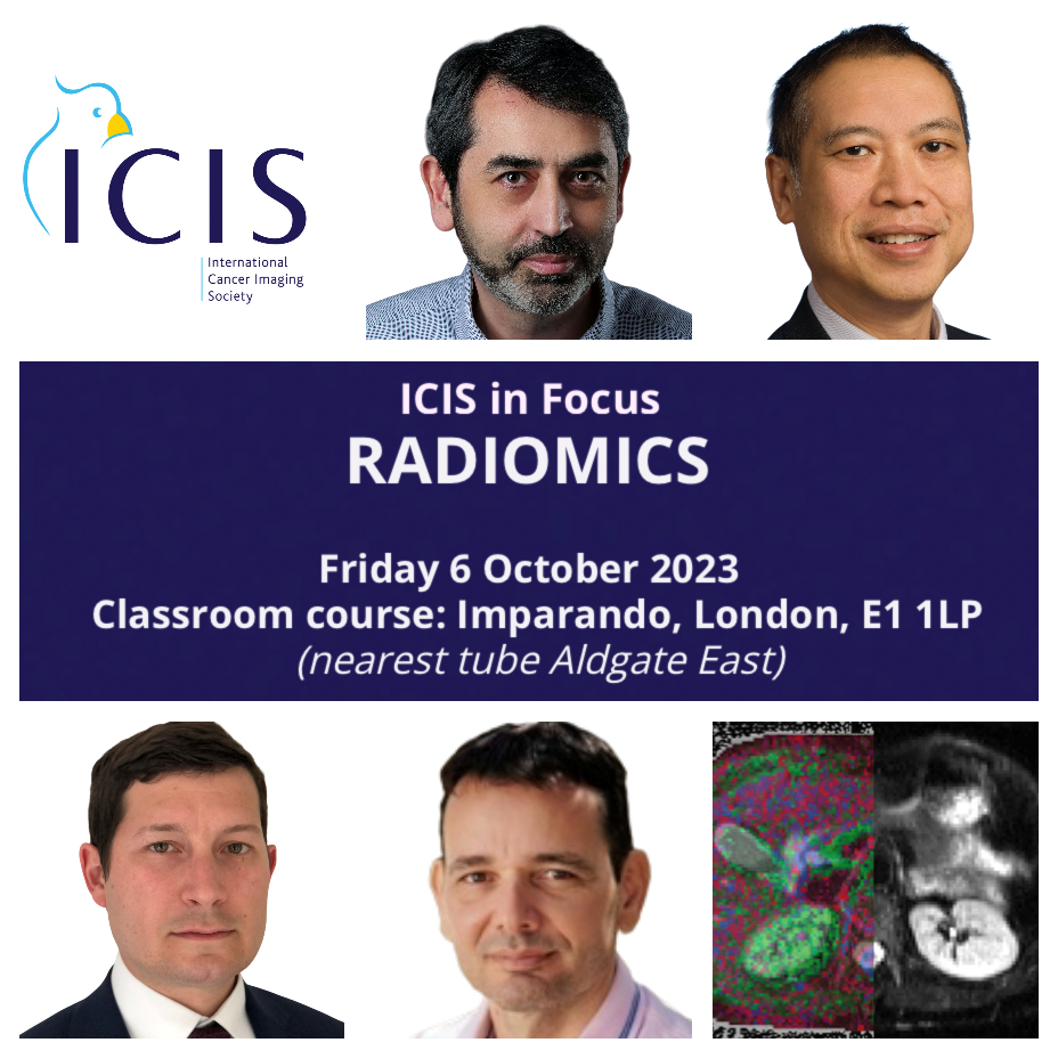 International Cancer Imaging Society Icis Computer Workshops